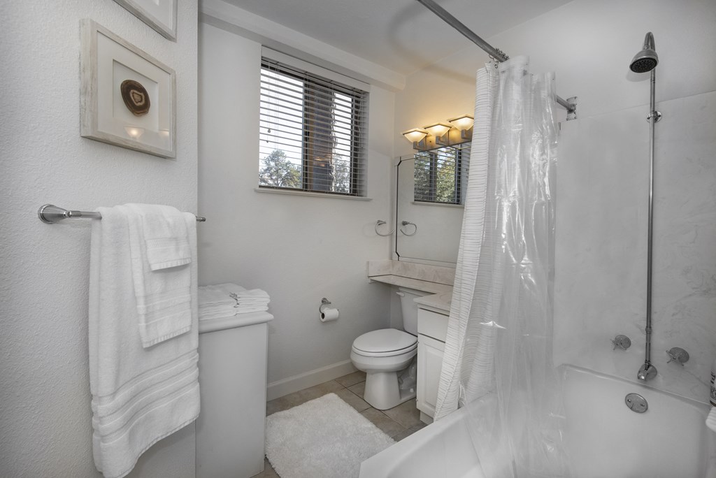 a bathroom with a shower toilet and sink