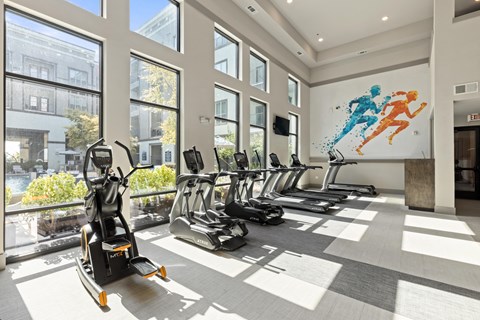 A gym with treadmills and exercise bikes.