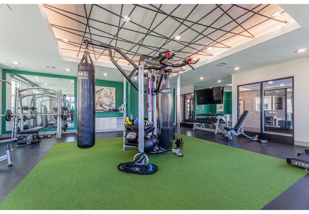 a home gym with weights and equipment on a green carpet