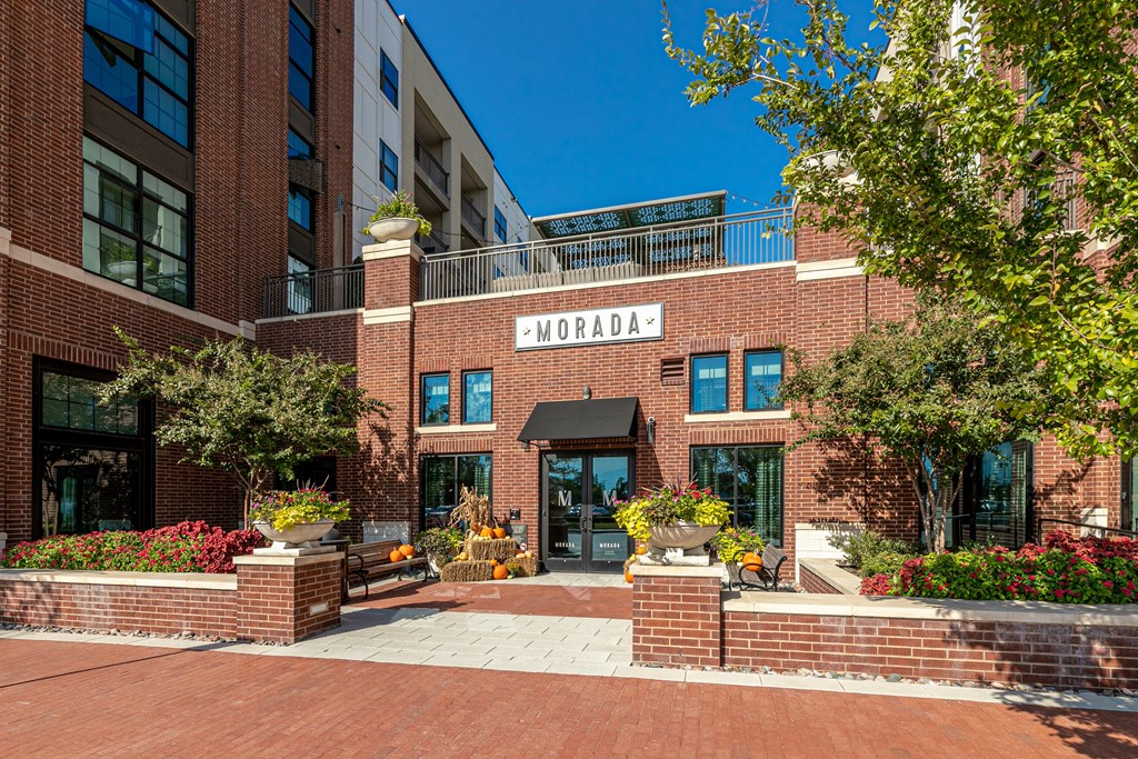 studio one and two bedroom plano apartments for rent