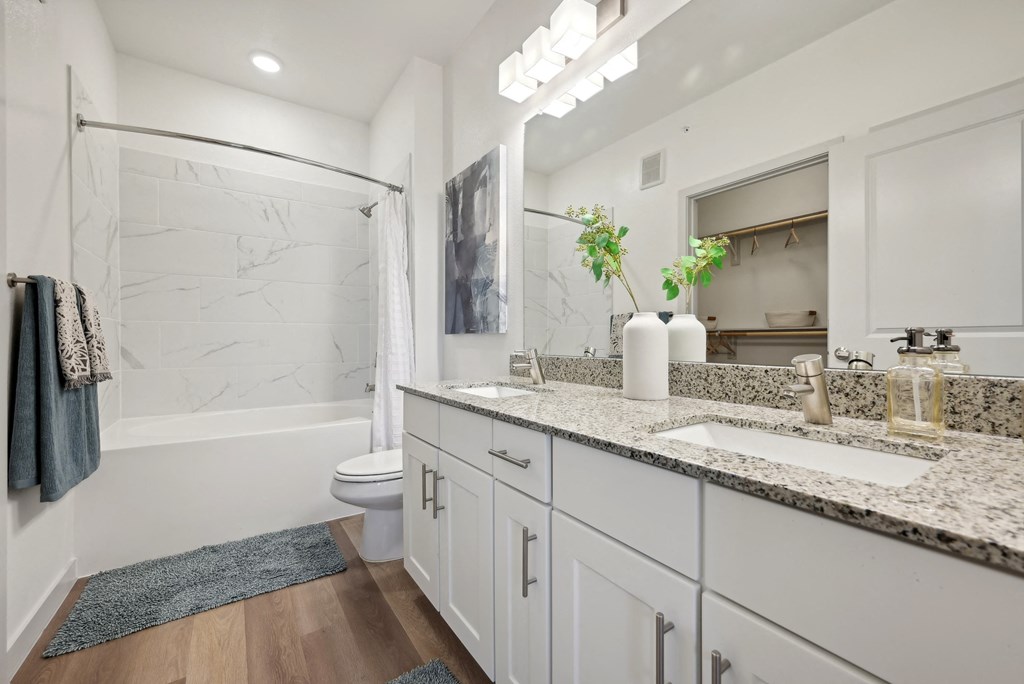 a bathroom with a sink and a shower and a toilet