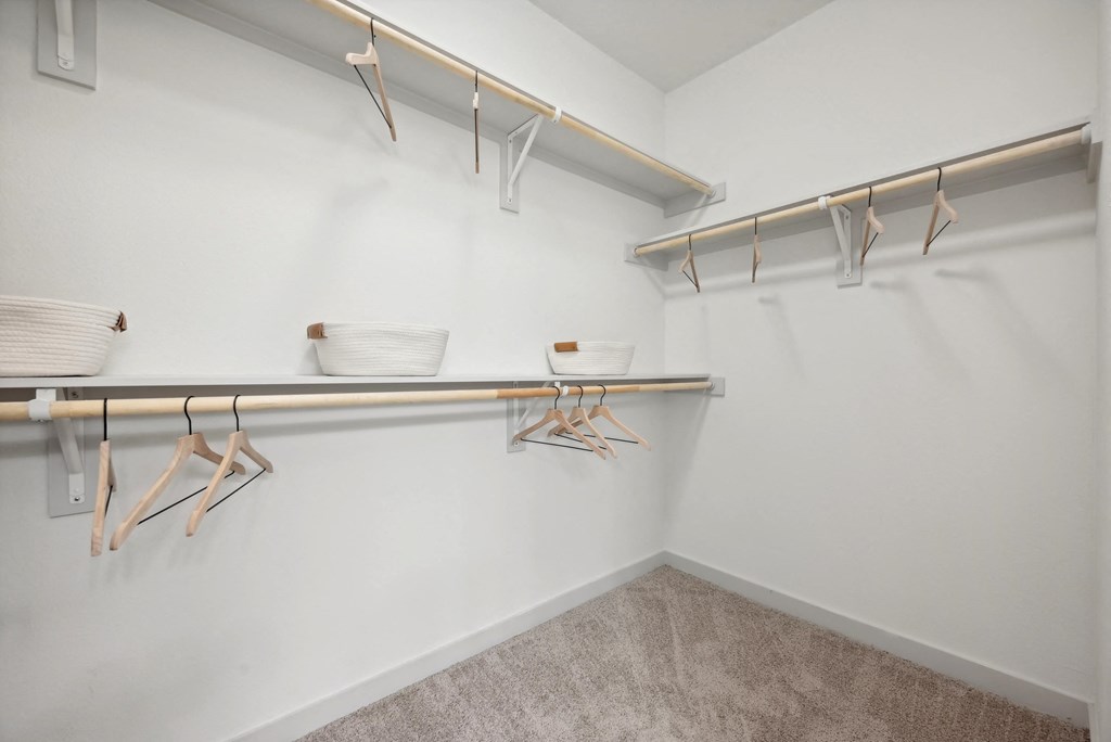 our spacious closets are stocked with baskets and plates in our spacious walk in closet