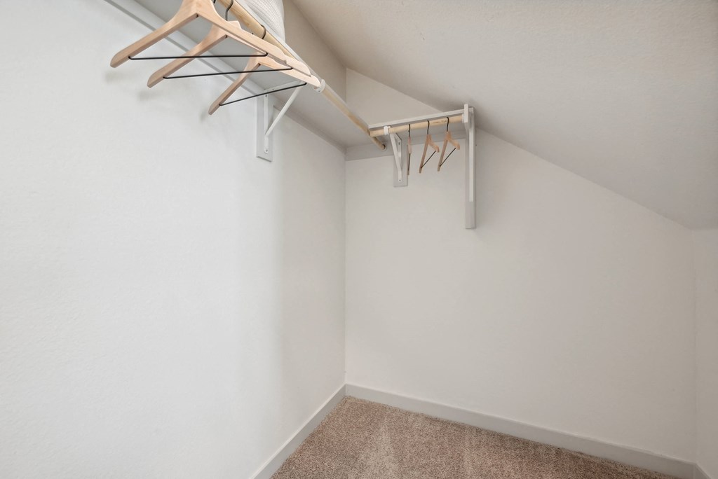 our spacious closets in the living room are clean and ready to use