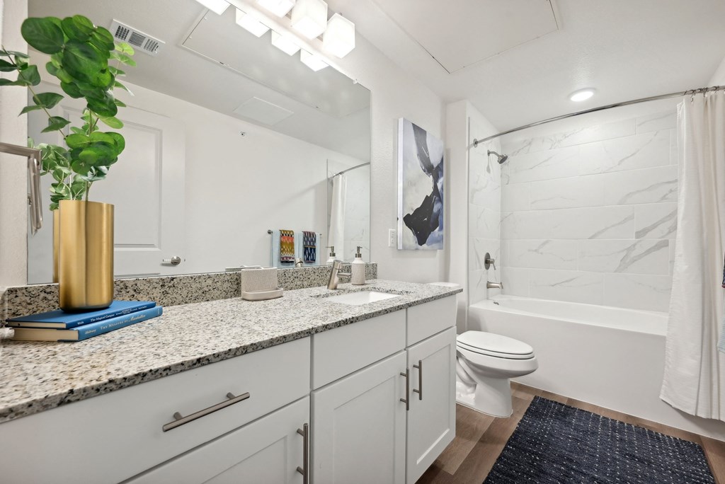 a bathroom with a sink and a toilet and a shower