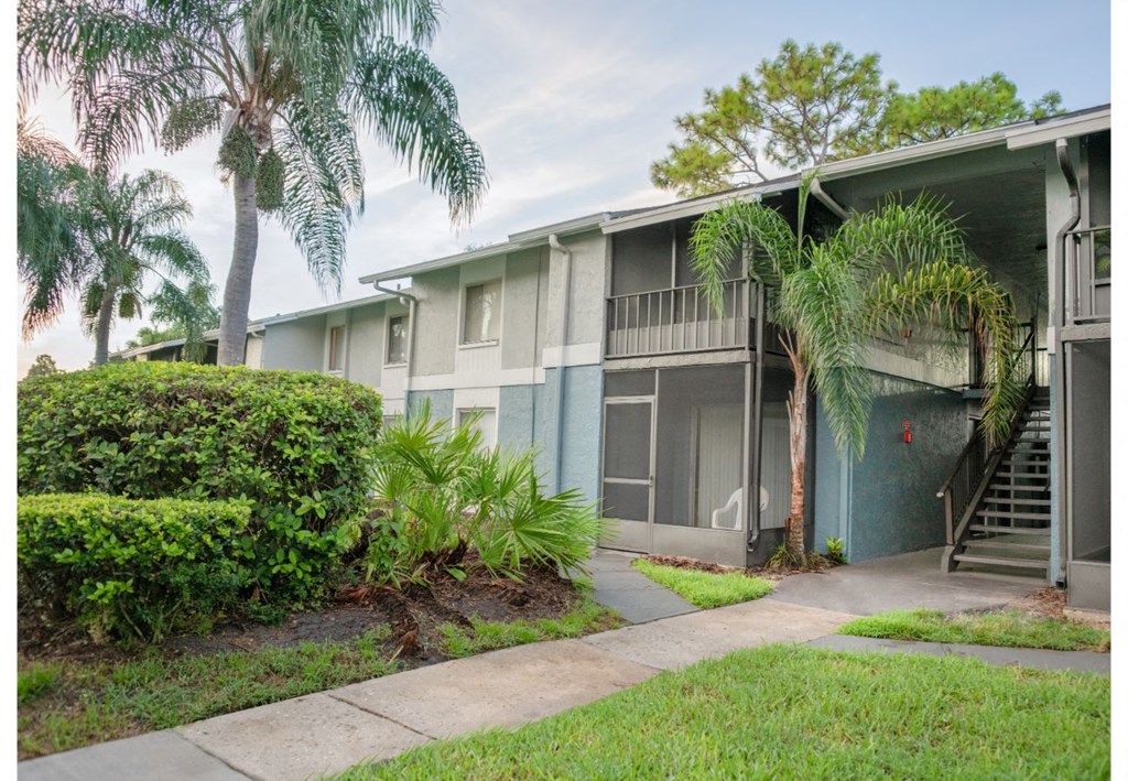 clearwater fl apartments