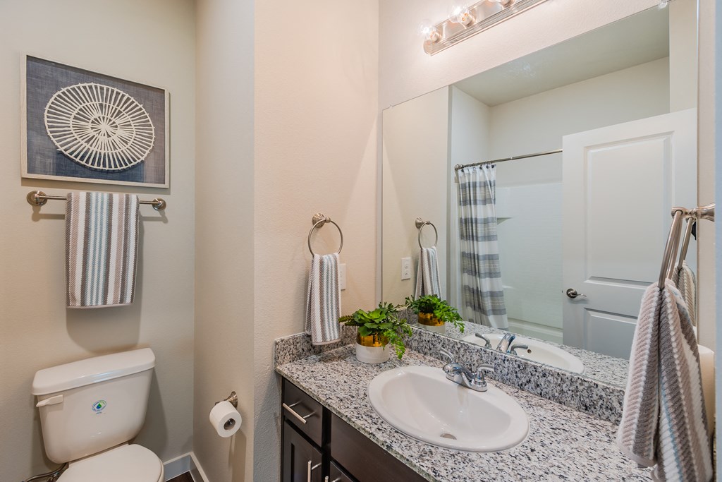 a bathroom with a sink and a mirror and a toilet