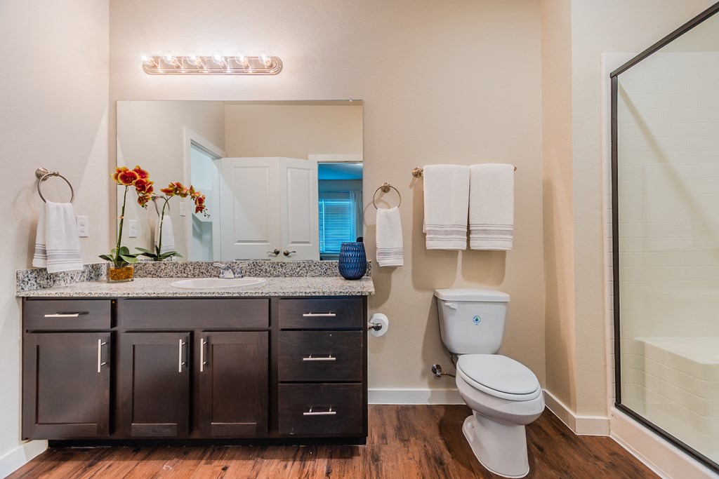a bathroom with a toilet sink and mirror and a shower
