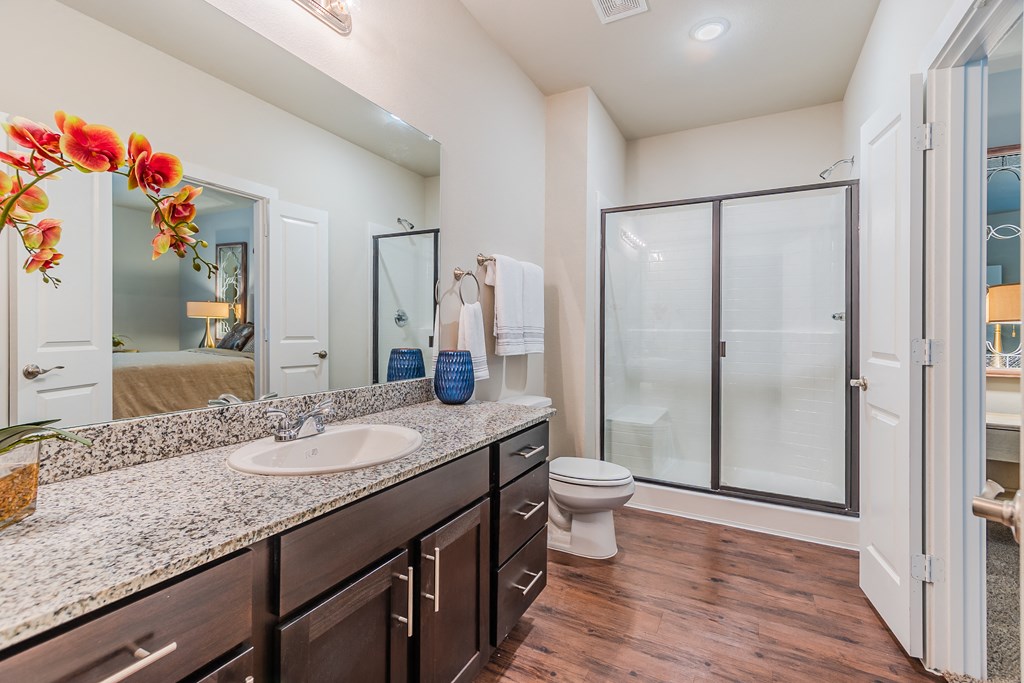 a bathroom with a sink and a toilet and a shower