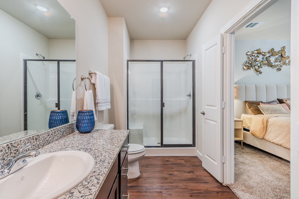 a bathroom with a sink and a toilet and a shower