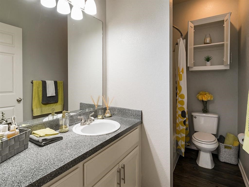 a bathroom with a sink and a toilet and a mirror