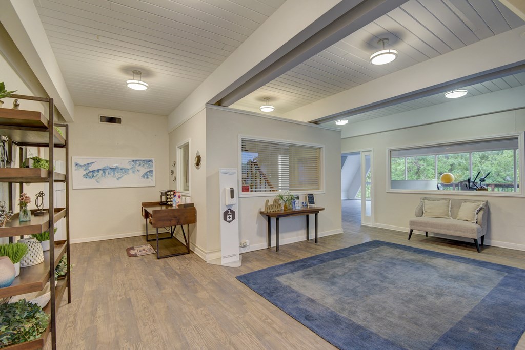 a living room with a blue rug and a window