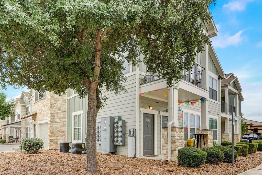 our apartments offer a spacious living area with a tree