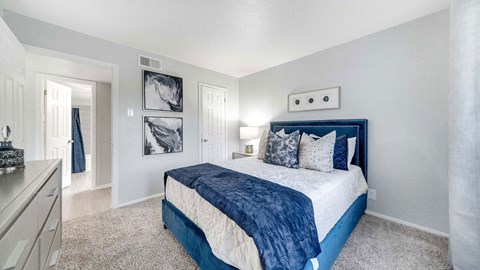 a bedroom with a bed and a closet