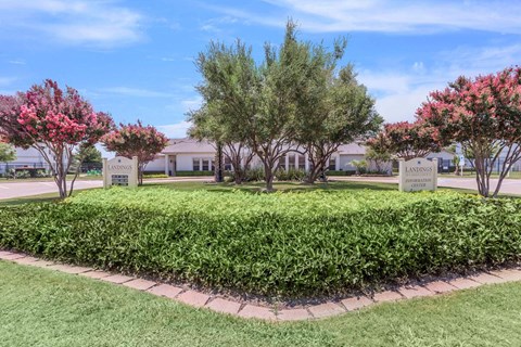 grand prairie tx apartments