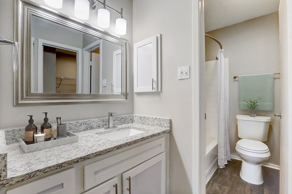 a bathroom with a toilet and a sink and a mirror