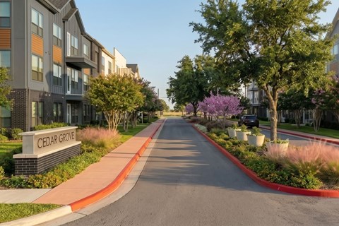 A street view of Cedar Grove residential area with modern buildings on the left and a tree-lined street on the right.