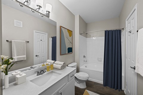 a bathroom with a shower and a sink and a toilet