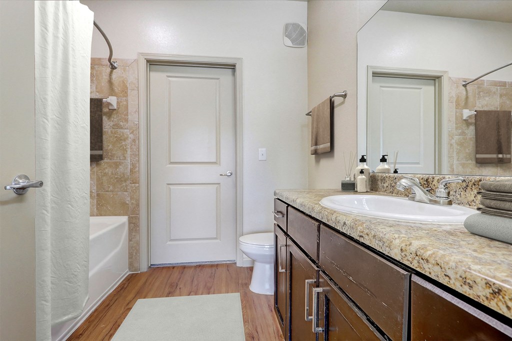 a bathroom with a sink and a toilet and a shower