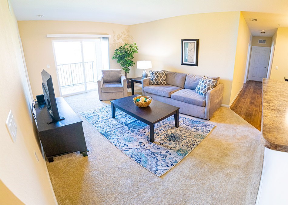 A living room with a grey couch, a coffee table, a television, and a rug.
