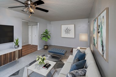 25350 US-19 North Studio-3 Beds Apartment for Rent - Photo Gallery 1