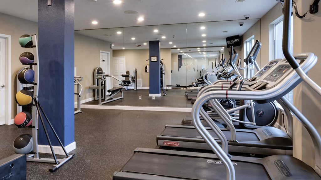 a gym with cardio equipment and weights on the floor