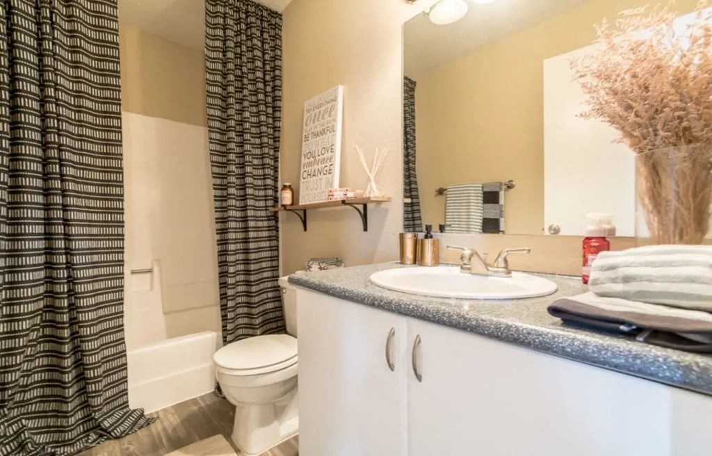a bathroom with a sink and a toilet and a shower