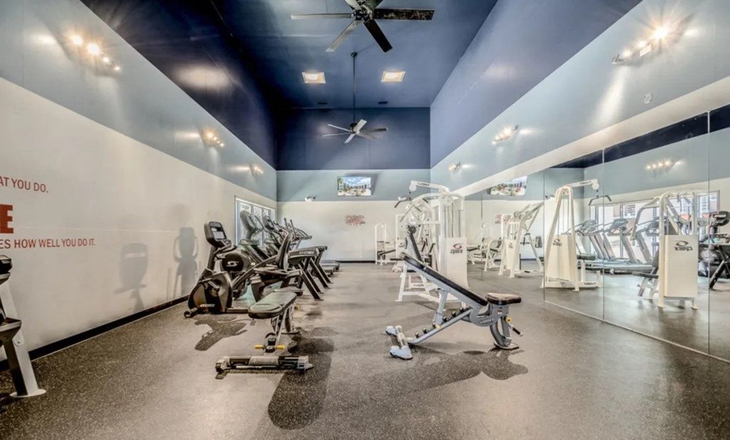 a gym with a bunch of exercise bikes in it