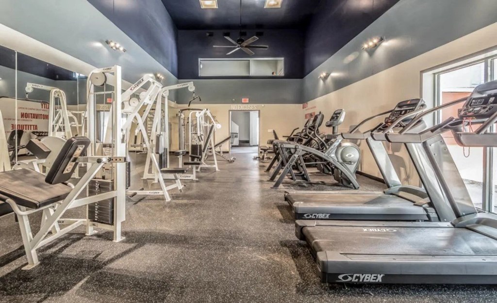 the gym is equipped with cardio equipment and weights