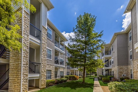 A tree in a grassy area in front of apartment buildings.