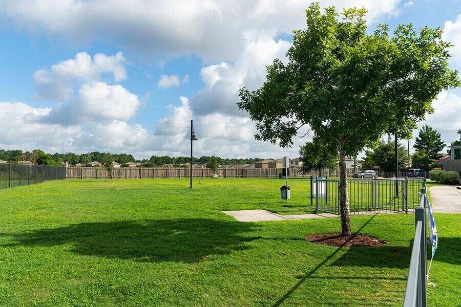 a park with a tree and a fence