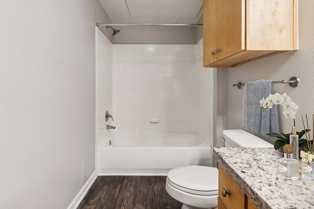 a bathroom with a toilet and a tub and a sink
