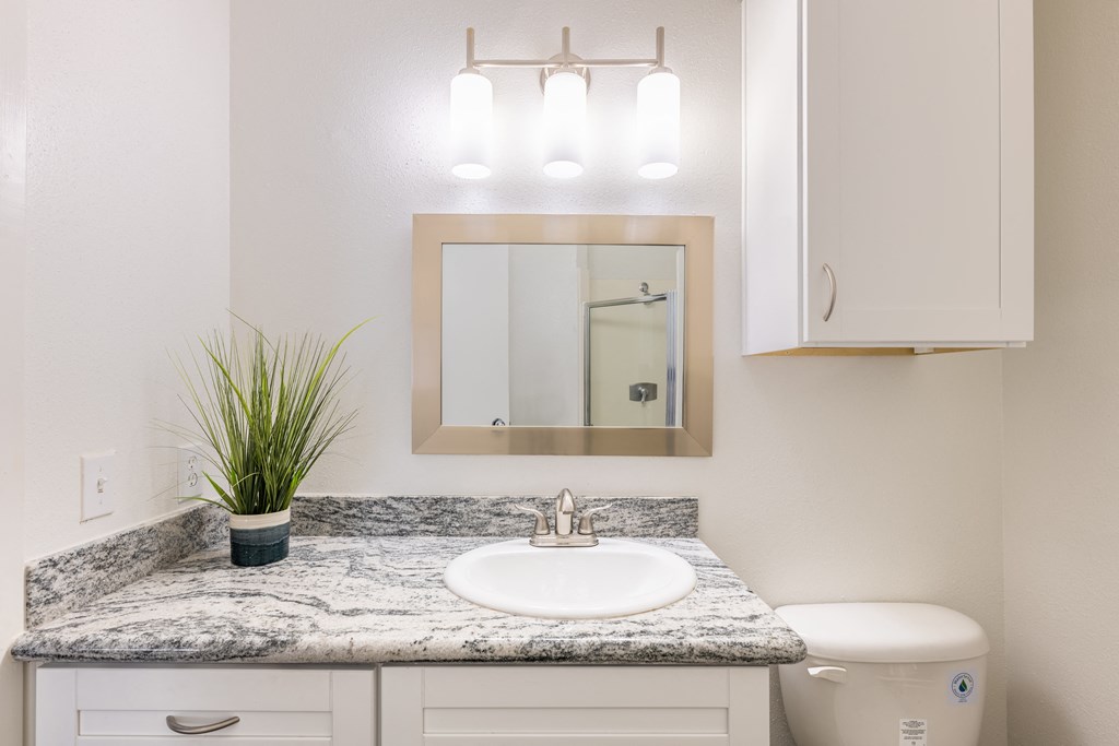 bathroom at Augusta Court Apartments, Houston, Texas