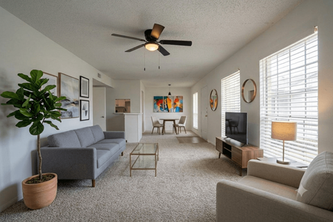 A living room with a grey couch, a coffee table, a television, and a potted plant.