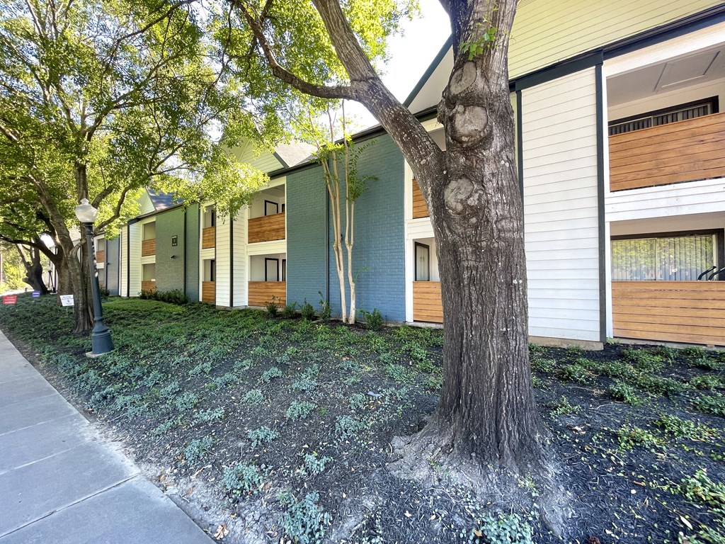 a row of apartment buildings with trees in front of them  at 2151 Kirkwood, Houston, TX