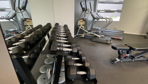a row of weights in a gym on the floor