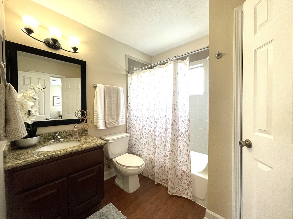 a bathroom with a shower toilet and sink and a mirror
