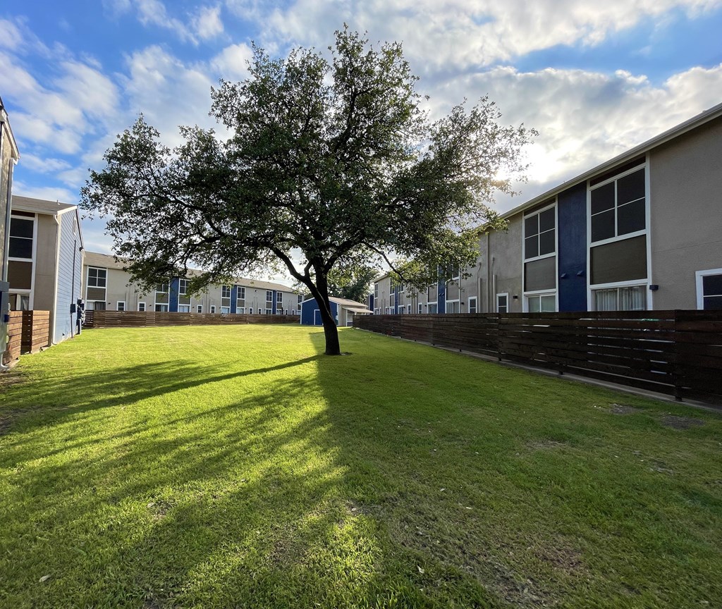 a tree in the middle of a yard in front of a building