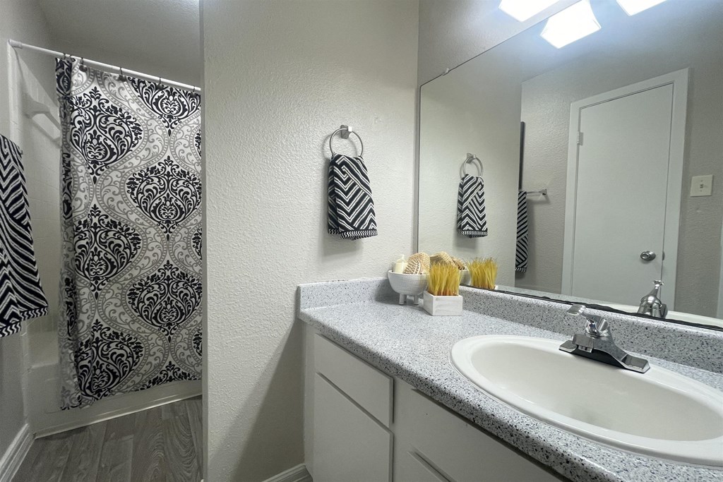 a bathroom with a sink and a shower and a mirror