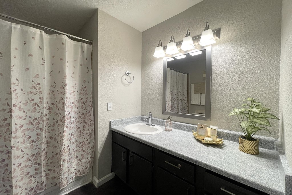 a bathroom with a sink and a shower and a mirror
