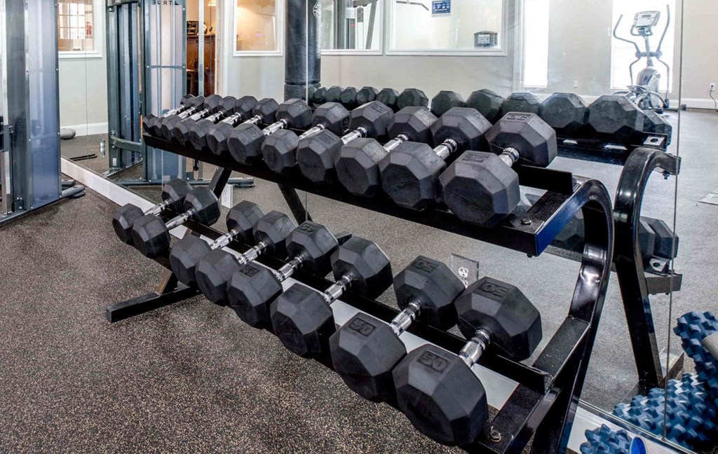 A set of black dumbbells are arranged on a rack in a gym.