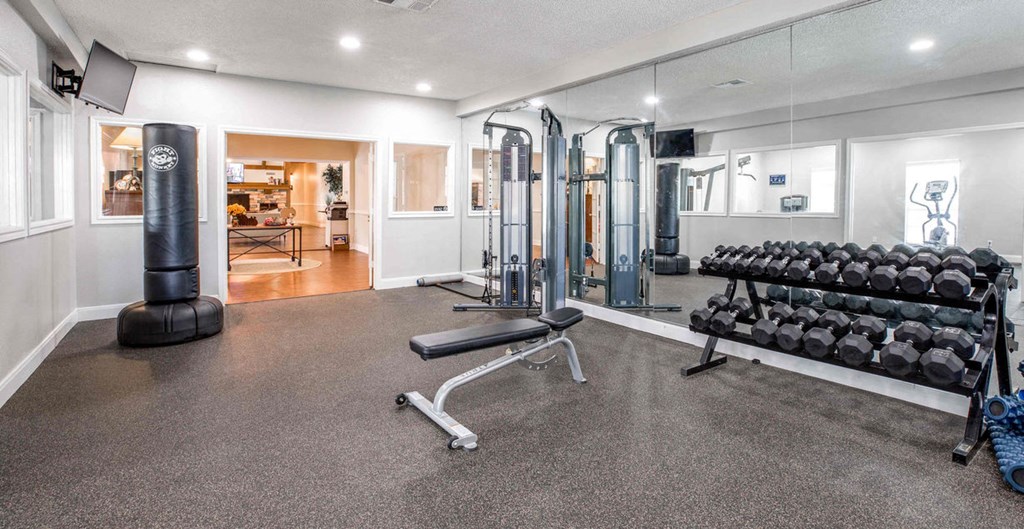 A well-equipped home gym with a variety of exercise equipment.