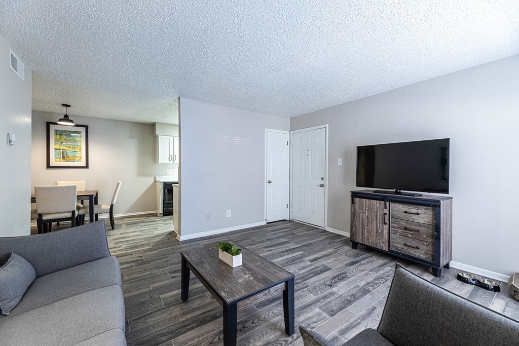 A living room with a grey couch, a coffee table, and a television.
