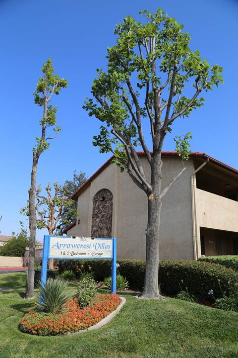 A church named Arrowcrest Oasis is visible in the image.