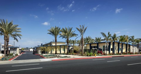 A street with palm trees on both sides and a building in the background.
