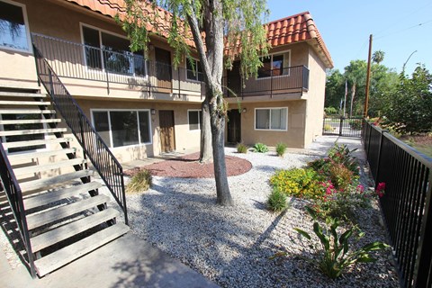 A small tree in a gravel garden in front of a two-story apartment building.