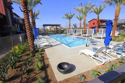 A pool surrounded by palm trees and lounge chairs.