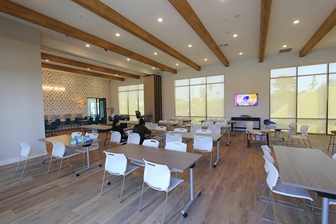A conference room with a long table and chairs, a television on the wall, and a view of the outdoors through the windows.