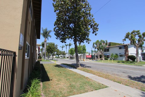 A tree in a grassy area in front of a building.