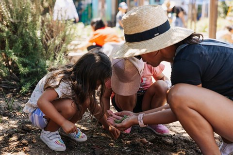A group of people are gathered around a small plant.