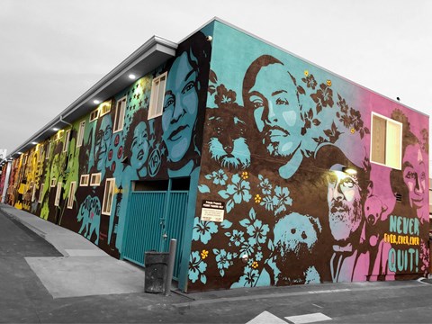 A wall of graffiti art featuring faces and flowers.